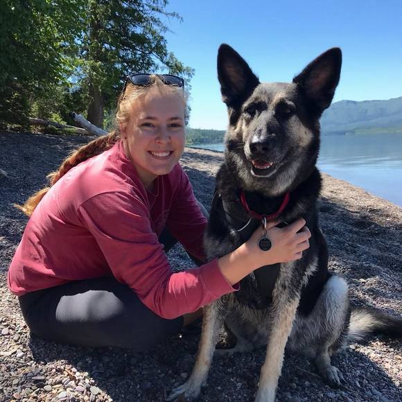 Meet your Posher, Rowan - Picture 1 of 1